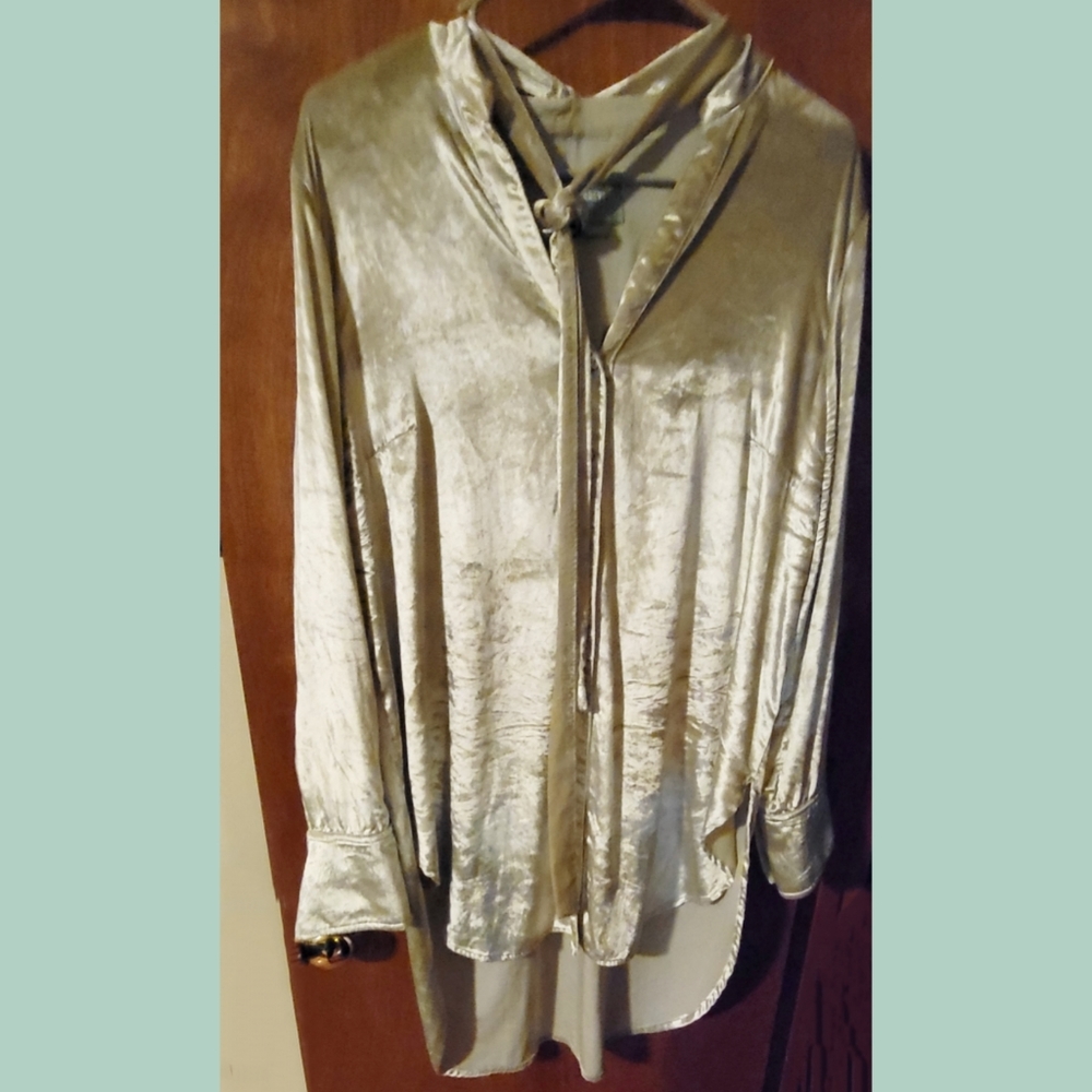 Anthropologie Maeve oversize velvet button down